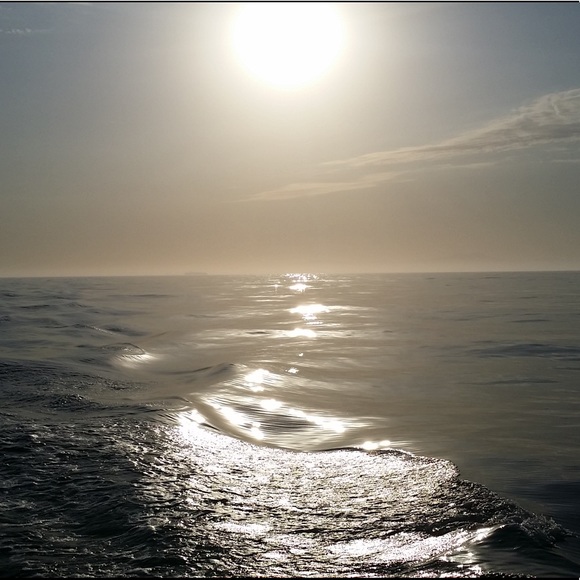 Meet your Posher, Mikey - Picture 4 of 16